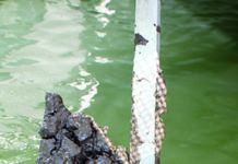 Roll-bar Anchors in Mud