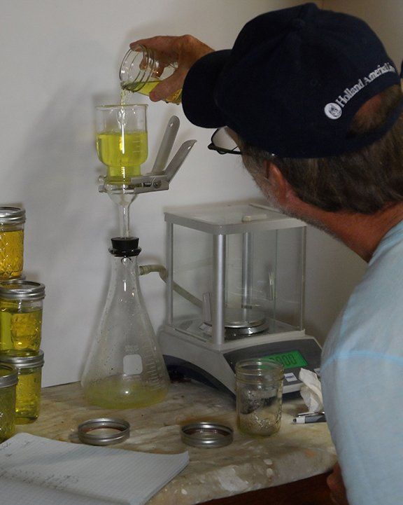 p19vos44fe1fef19tqul51dned3p6