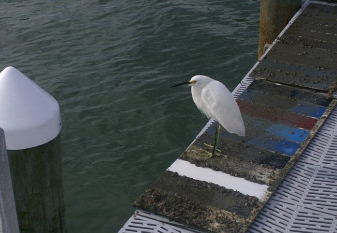 p1ab5tjea813dr13ttorvkmudd6