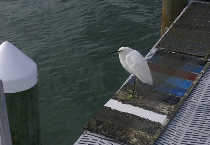 p1ab5tjea813dr13ttorvkmudd6