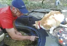 Repairing Plastic Water Tanks