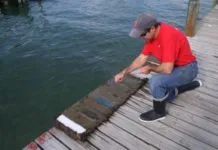 Environmentally-friendly Antifouling Paint Test