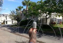 Do-It-Yourself Bird Deterrents