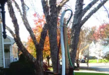 Holding Tank Test Correction