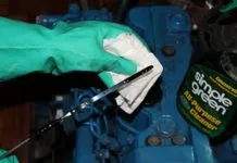 Before and After the Cruise Checklists