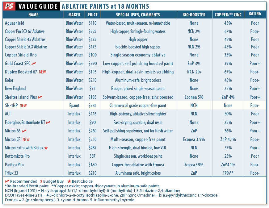 Bottom Paint Checkup 2015