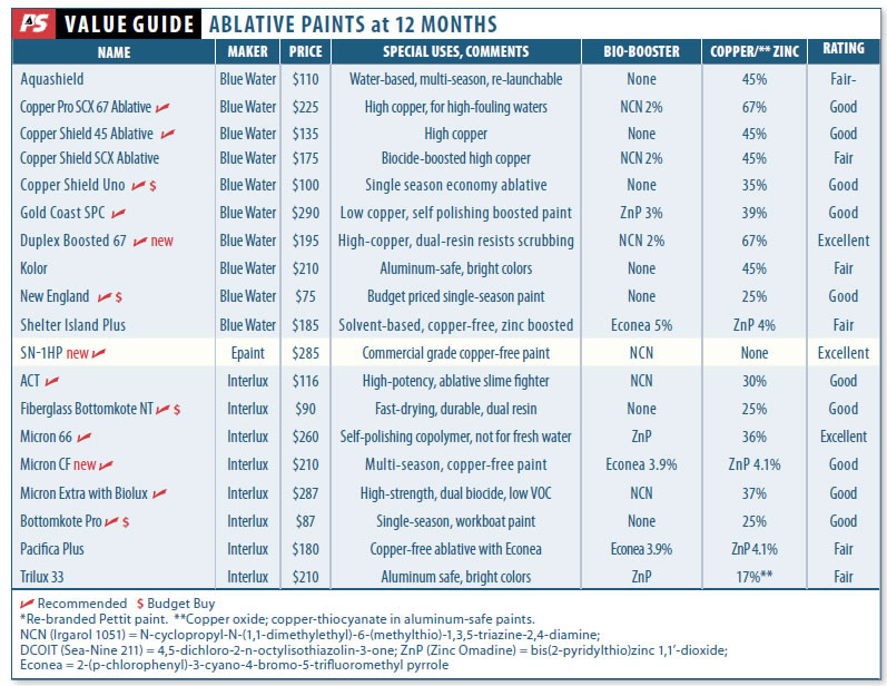 Bottom Paint Checkup 2014