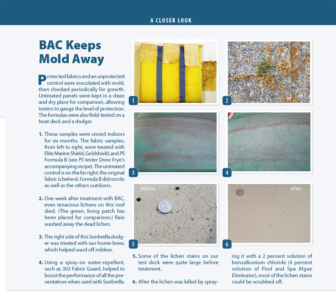 Fighting Mildew, Mold, and Lichen