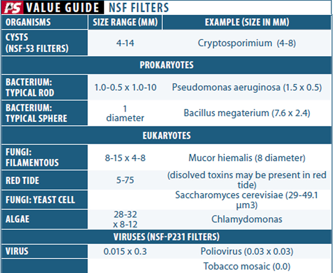 Making Sense of Water Filter Certification