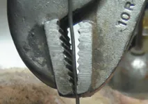 Twist Your Way Back to Safe Harbor