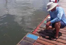 Choosing a Bottom Paint for Dummies Boat Maintenance: The Essential Guide to Cleaning, Painting, and Cosmetics Book from Practical Sailor