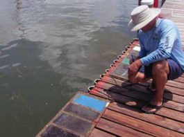 Boat Maintenance: The Essential Guide to Cleaning, Painting, and Cosmetics Book from Practical Sailor