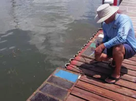 Choosing a Bottom Paint for Dummies Boat Maintenance: The Essential Guide to Cleaning, Painting, and Cosmetics Book from Practical Sailor