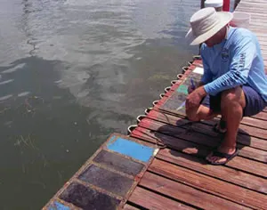 bottompaints13 Boat Maintenance: The Essential Guide to Cleaning, Painting, and Cosmetics Book from Practical Sailor