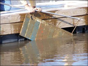 Sailboat Bottom Paints