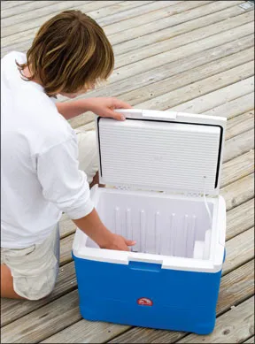 Igloo Cooler