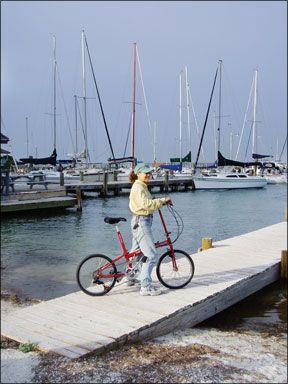 Folding Bike