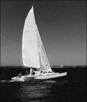 Dragonfly 800