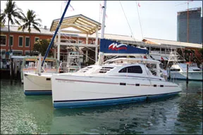 Debut of the Electric Leopard