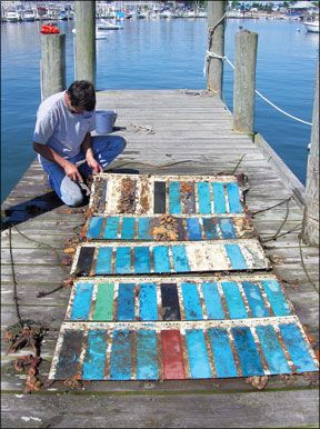 Sailboat Bottom Paint Test