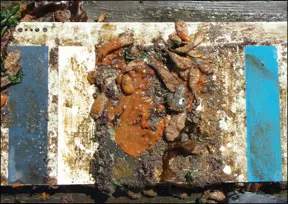 Practical Sailors Bottom Paint Test