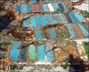 Top-Rated Bottom Paints