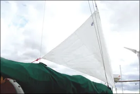 Sailrite Riding Sail