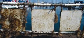 Testers evaluated the effectiveness of various cleaning methods