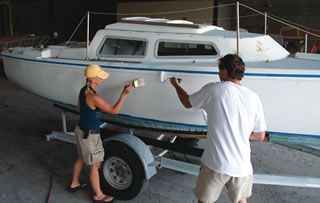 Natural-bristle brush with a chiseled edge