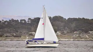 Pearson 36