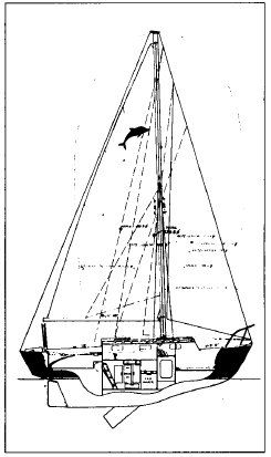 Yankee Pacific Dolphin