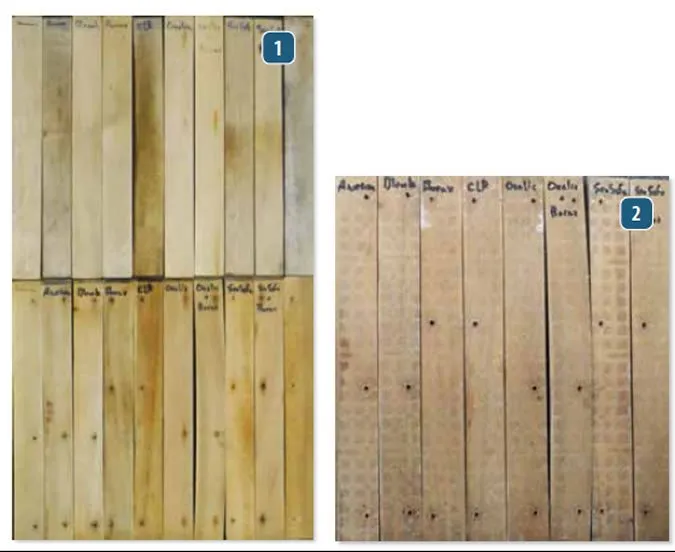 1. A look at the test panels after cleaning. Cleaning with oxalic acid, followed by a borax solution, got the best result, though the Star brite took less scrubbing. The far right, top row sample is a control, scrubbed only with plain water. 2. The test panels before cleaning; note that the Star brite sample was a bit worse off to start with.