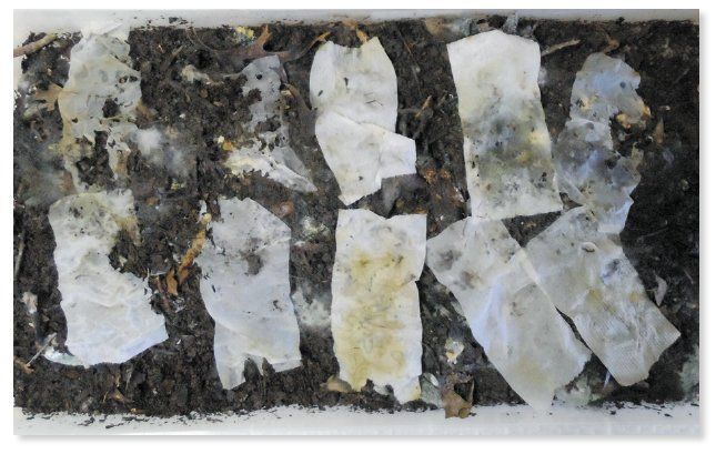 biodegradability compost-pile test