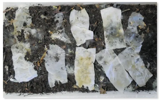 biodegradability compost-pile test