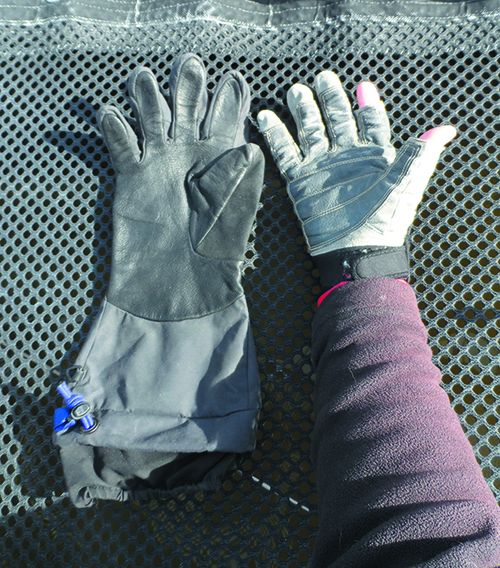 Winter Glove Report