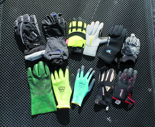 glove backs assortment of gloves