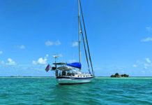 Mailport: Alexseal Topside Paint