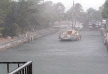 The Ego Trap of Riding the Storm Out