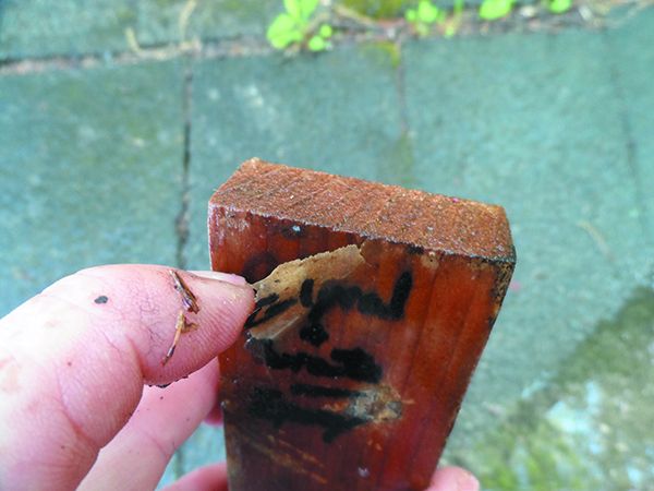 Products and Tips to Stop Wood Rot