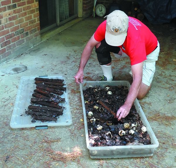 Products and Tips to Stop Wood Rot Practical Sailor