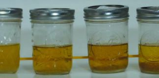 The performance our the urine odor suppressing additives surprised our testers. Here are samples two days after treatment. 1. urine treaments. Left to right: none, sugar, vinegar, citric acid, CLR, Nilodor.