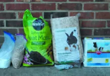Wood Ash Absorbs Odors Best