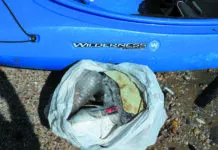 A Beach Plastic Disposal Dilemma