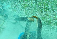 The Curse of the Mystery Mooring Chain