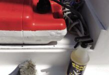 Clean and Shine Surprises