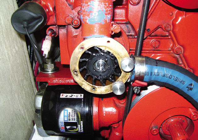 Lubed impeller ready for install.