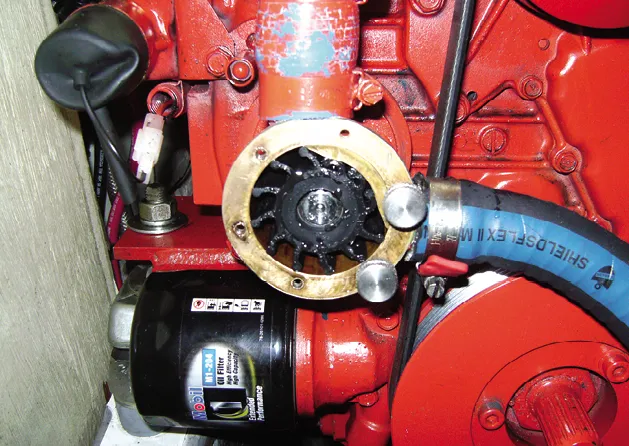 Lubed impeller ready for install.