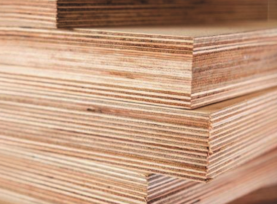 Making Sense of Plywood Choices