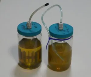 Notice the water condensation in the diesel sample on the right, which has been exposed to air over 4 weeks via the uncapped tube. (Photo/ Drew Frye)