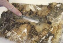 When water seeps into a balsa wood core, it eventually rots and needs to be replaced. Photo courtesy of Epoxyworks.com